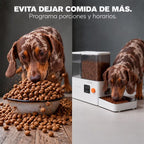 Dogatto - Dispensador de comida automático para perros y gatos