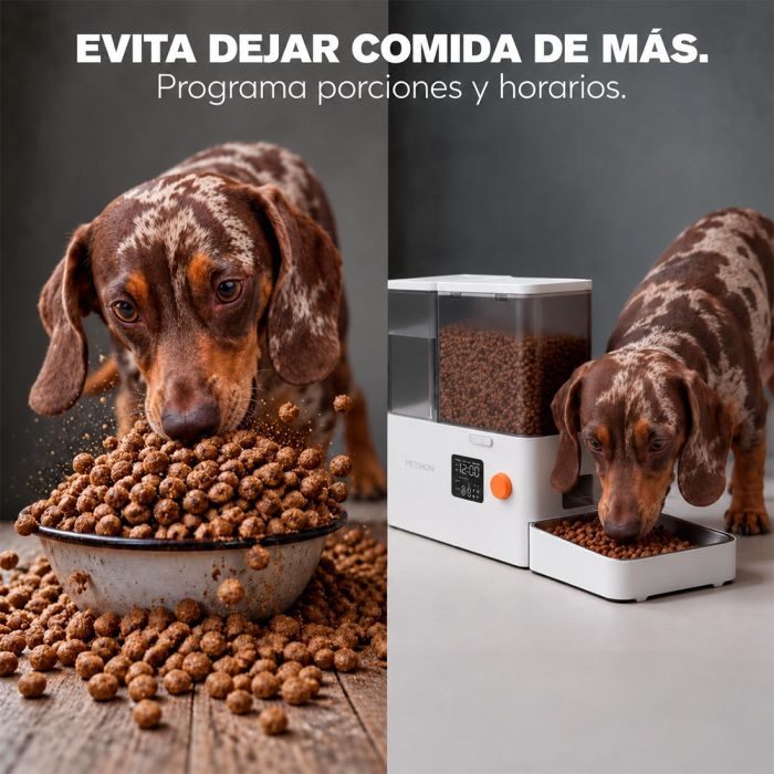 Dogatto - Dispensador de comida automático para perros y gatos