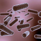 Kit - Okra + Appleline